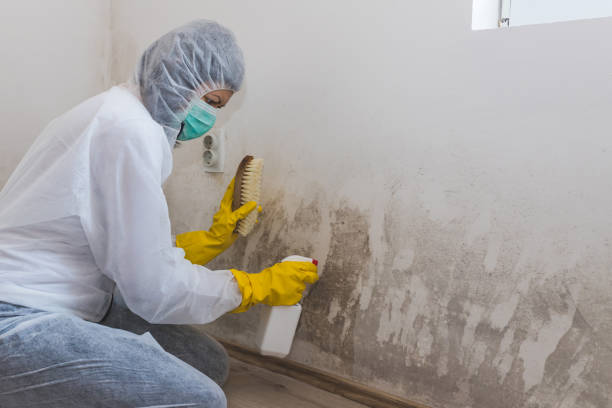 Best Residential Mold Removal  in Heppner, OR