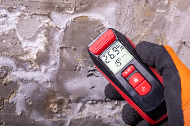 Mold Removal and Inspection in Heppner, OR