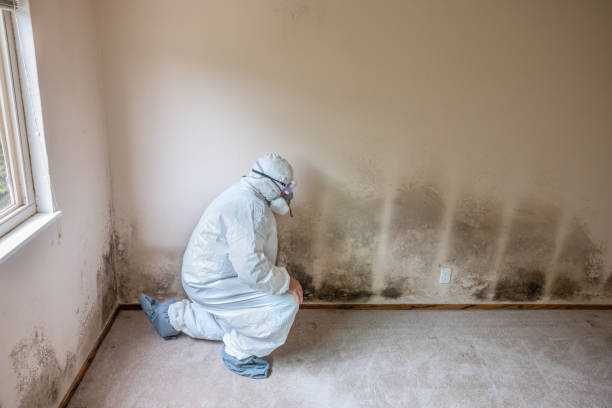 Best Attic Mold Removal  in Heppner, OR
