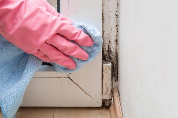 Heppner, OR Mold Removal Company